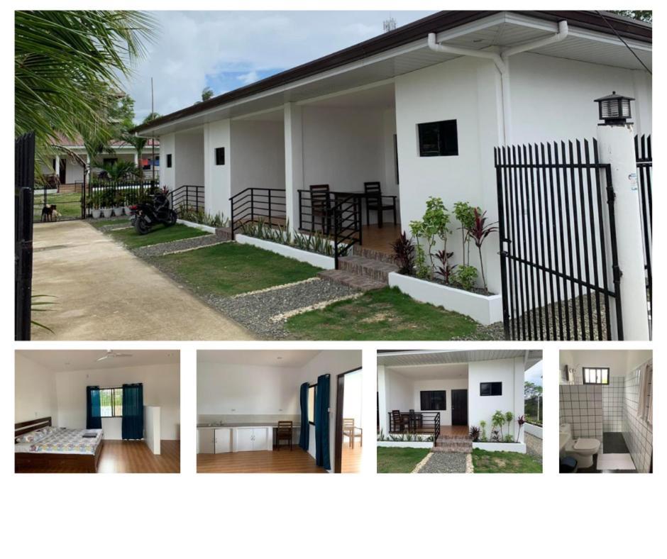 موالبوال Palm Tree Lodge المظهر الخارجي الصورة